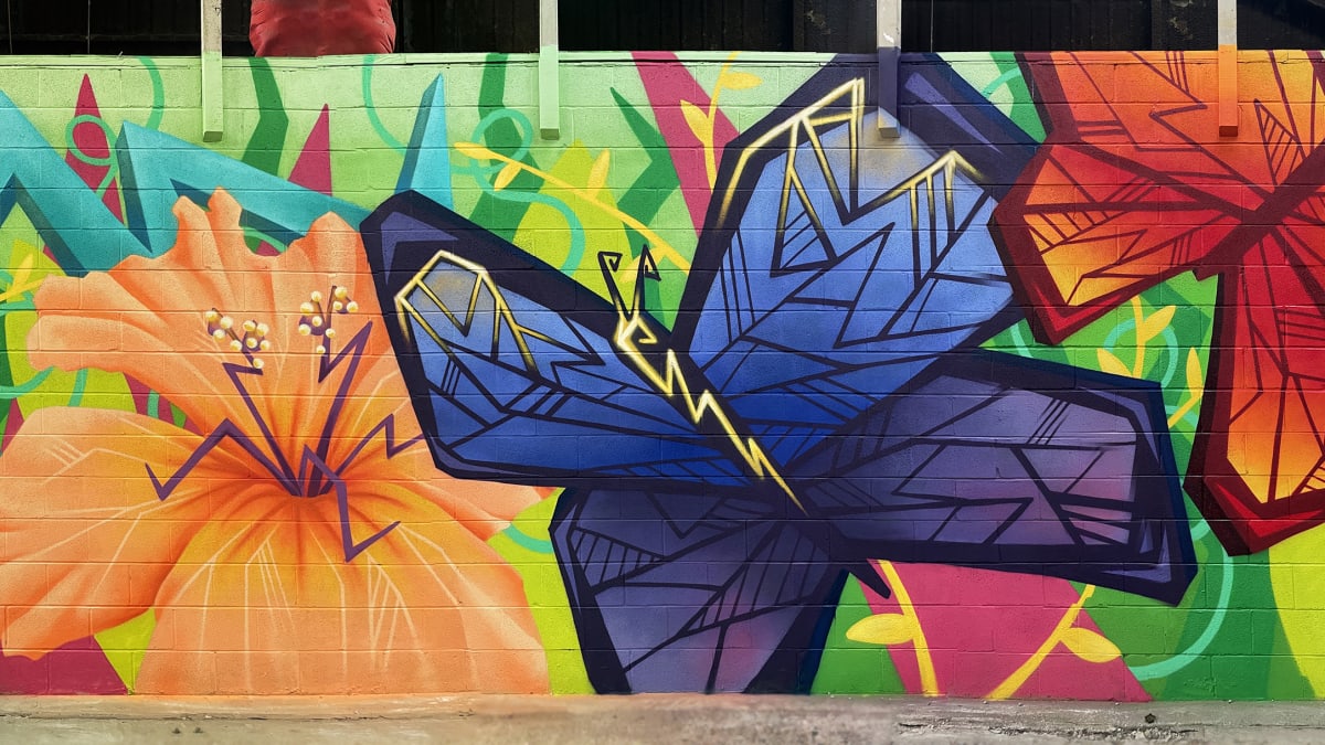 undefined's cover image