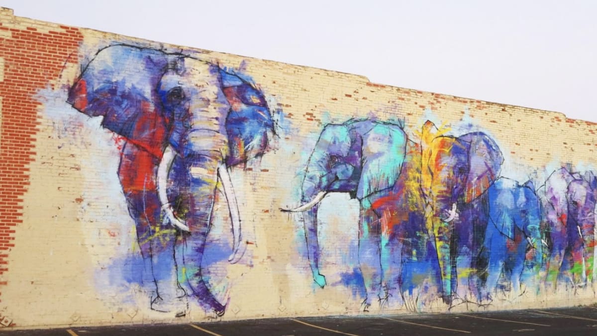 undefined's cover image