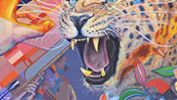 Ian Robertson-Salt's profile image