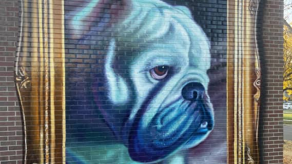 Patrick Kane Mcgregor's profile image