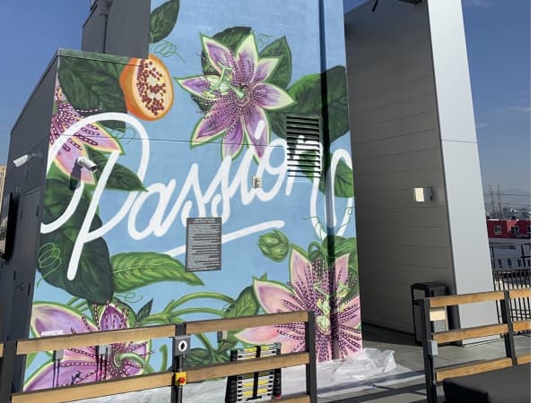 Mika Revell's profile image