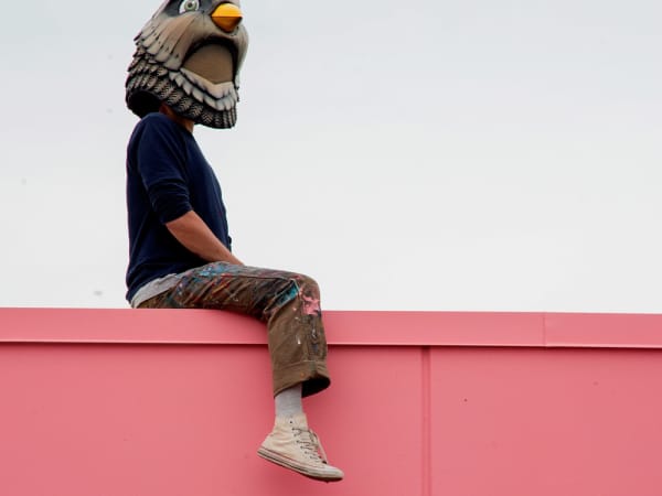 Birdo's profile image