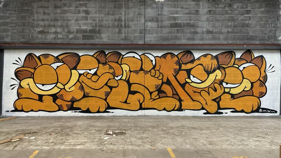 Brian Wooden's cover image