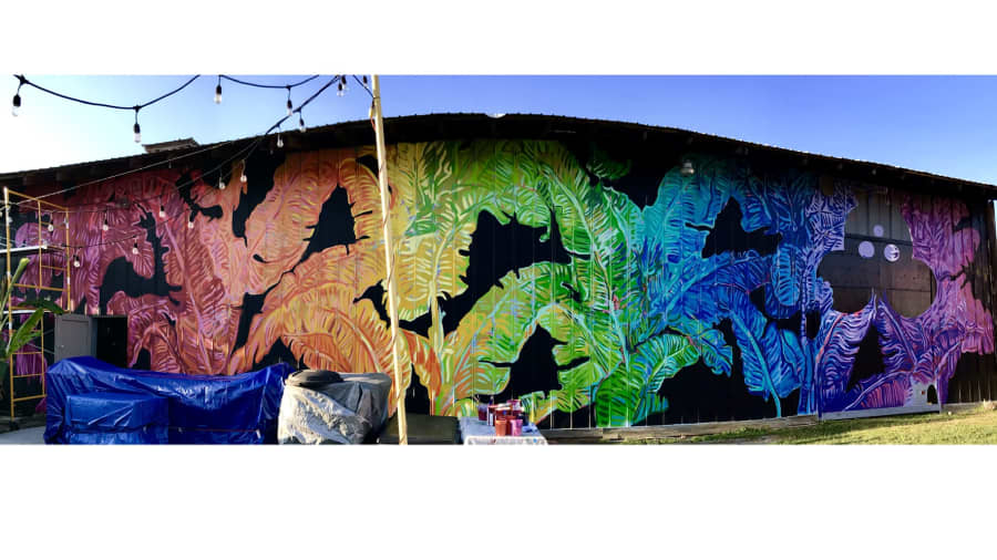 Toni Ardizzone's cover image