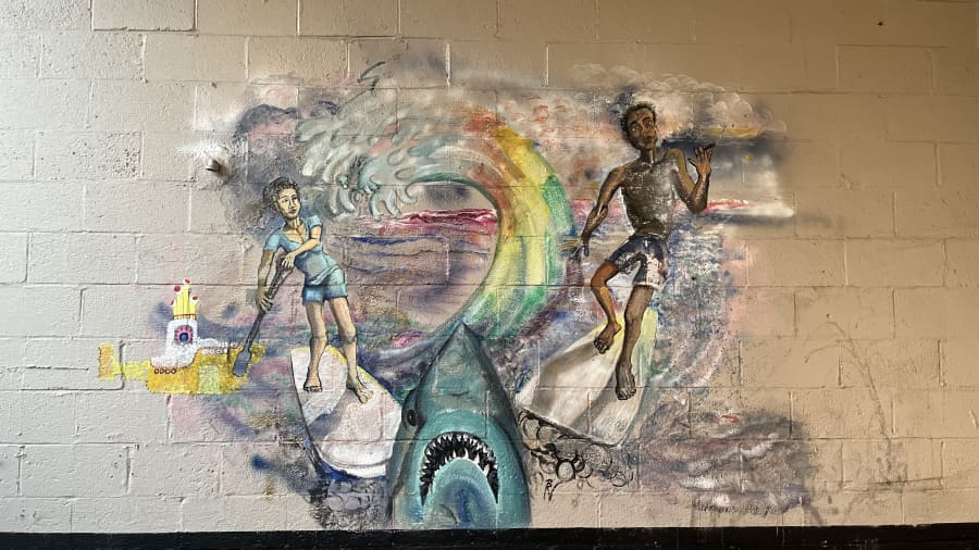 Deni Vosburgh's cover image