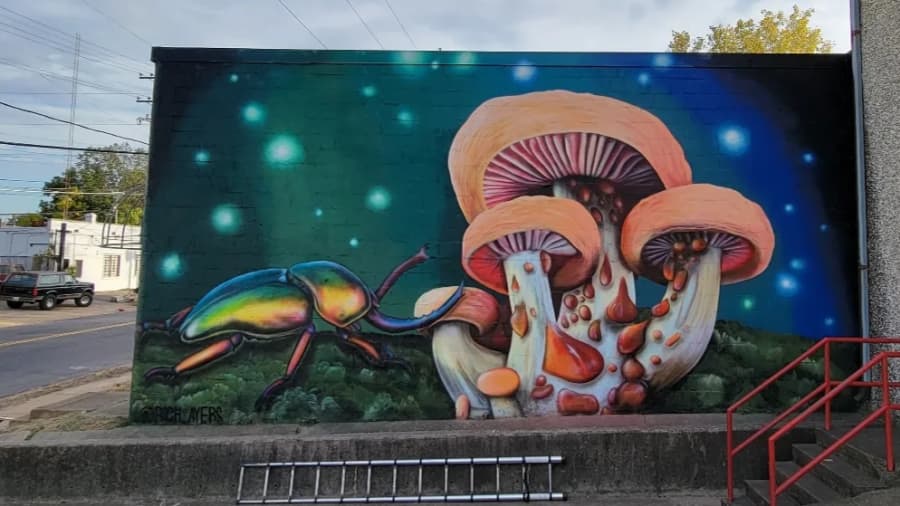 Rich Ayers's cover image