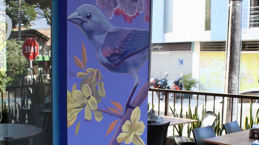 Alucina's cover image