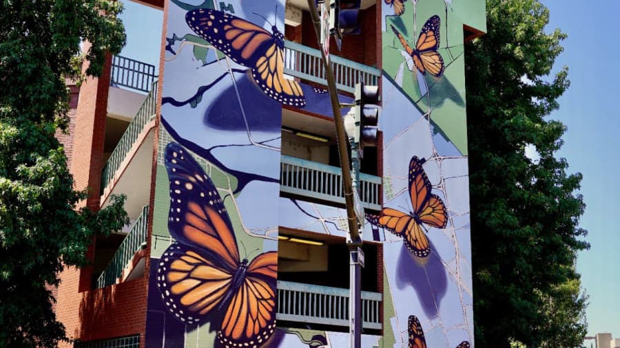 Charly Malpass's cover image