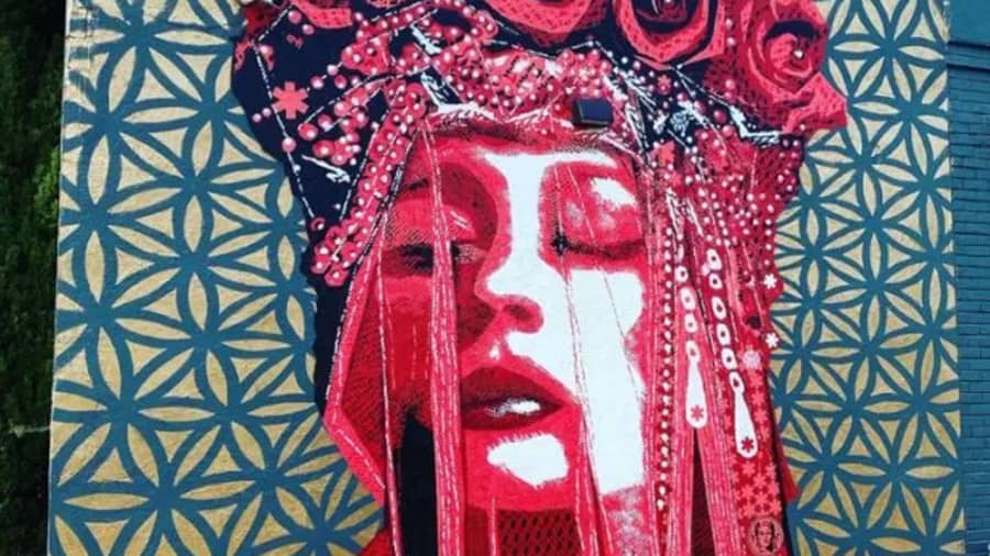 Voxx Romana's cover image