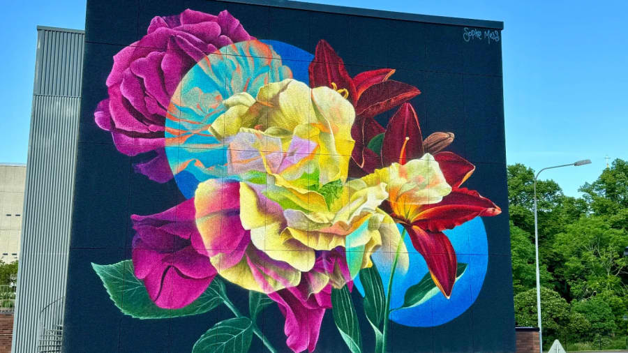 Sophie Mess's cover image