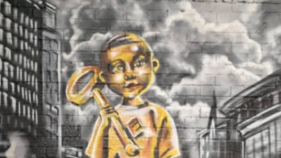 Carleen De Sözer's cover image