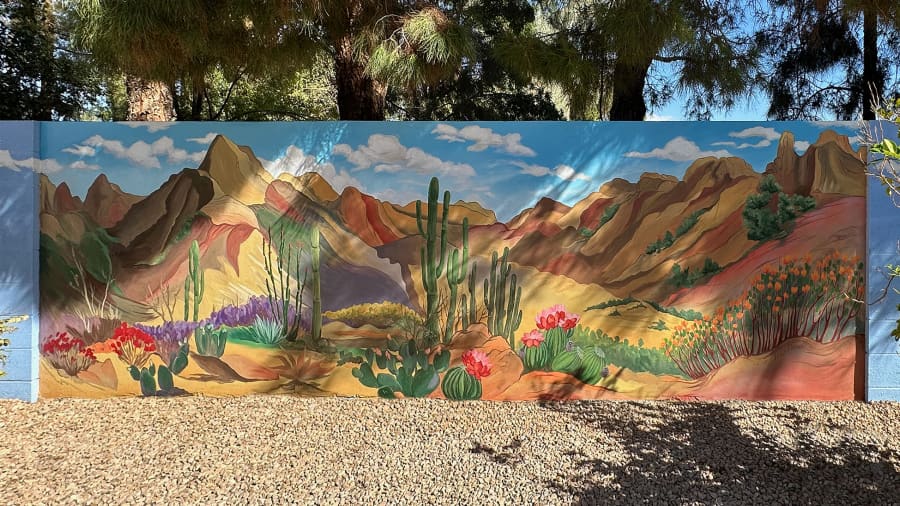 Aniko 's cover image