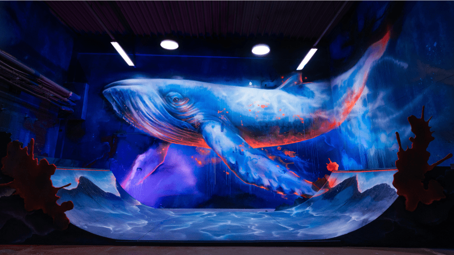 Daniel Mac LLOYD's cover image