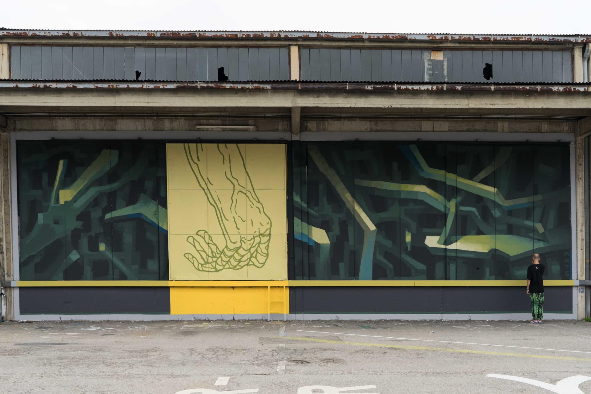 Rhizome