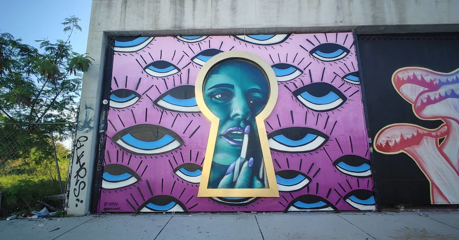 Gaze Through the Keyhole of Perception