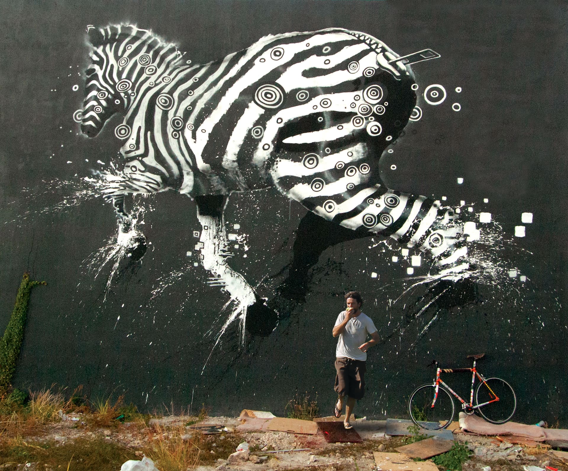 Dynamic Stripes in Urban Motion