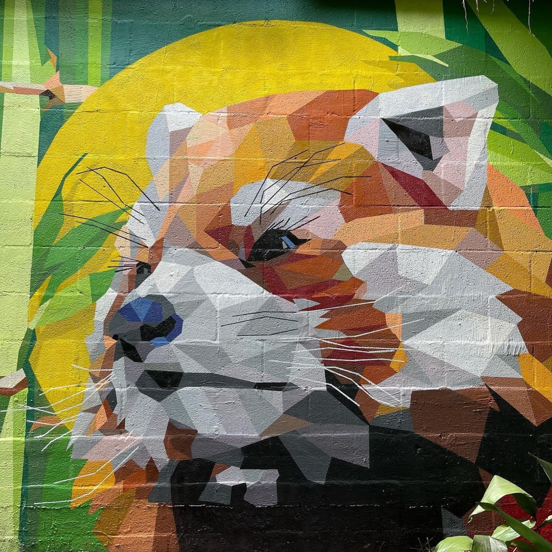 Red Panda Geo