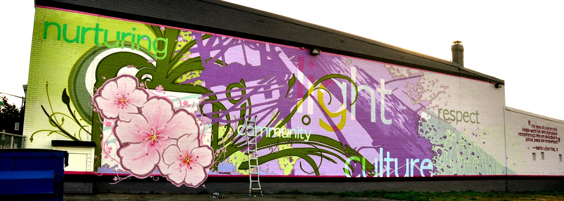 Murals DC