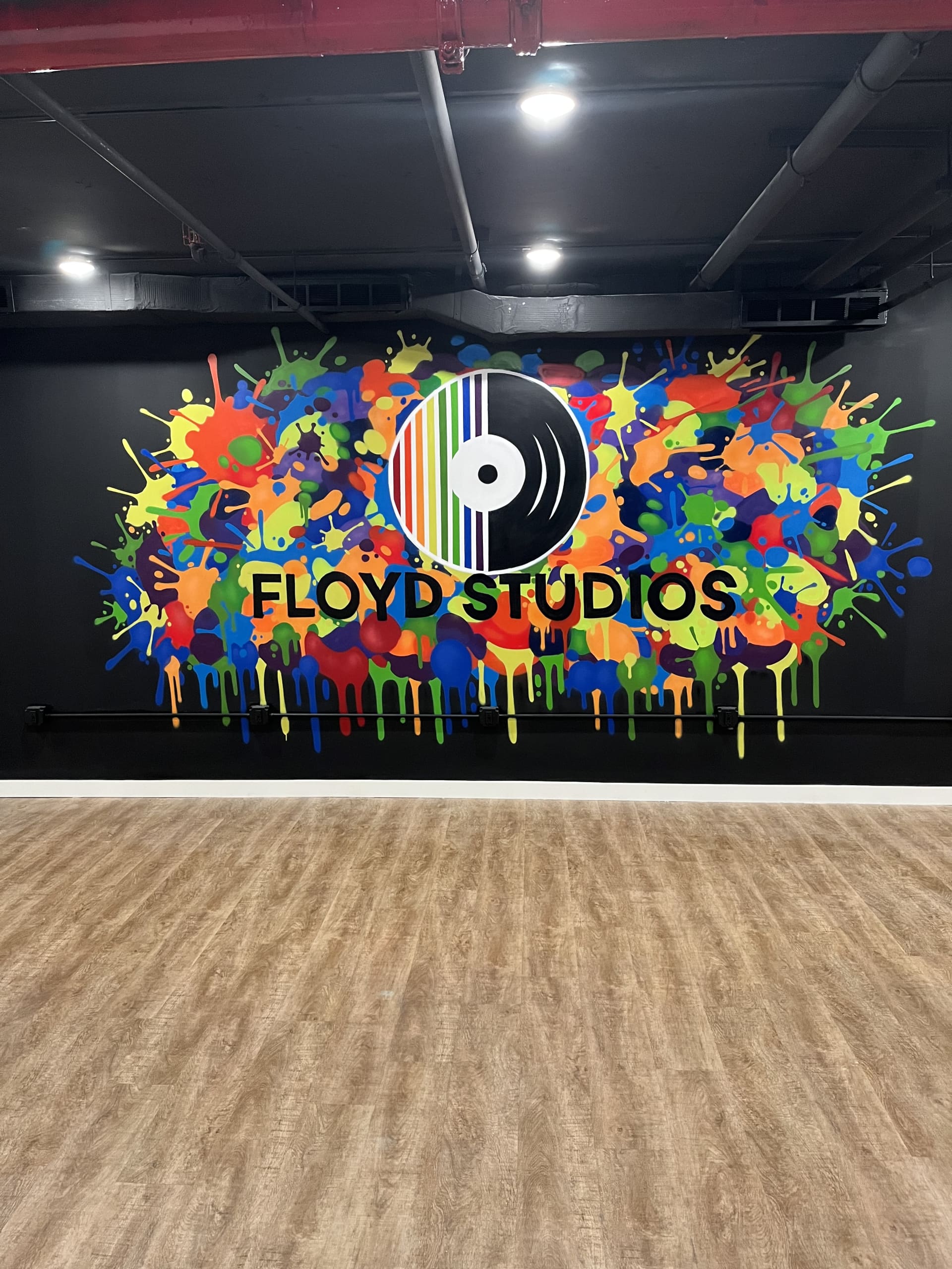 Rhythms of Color and Sound Unleashed