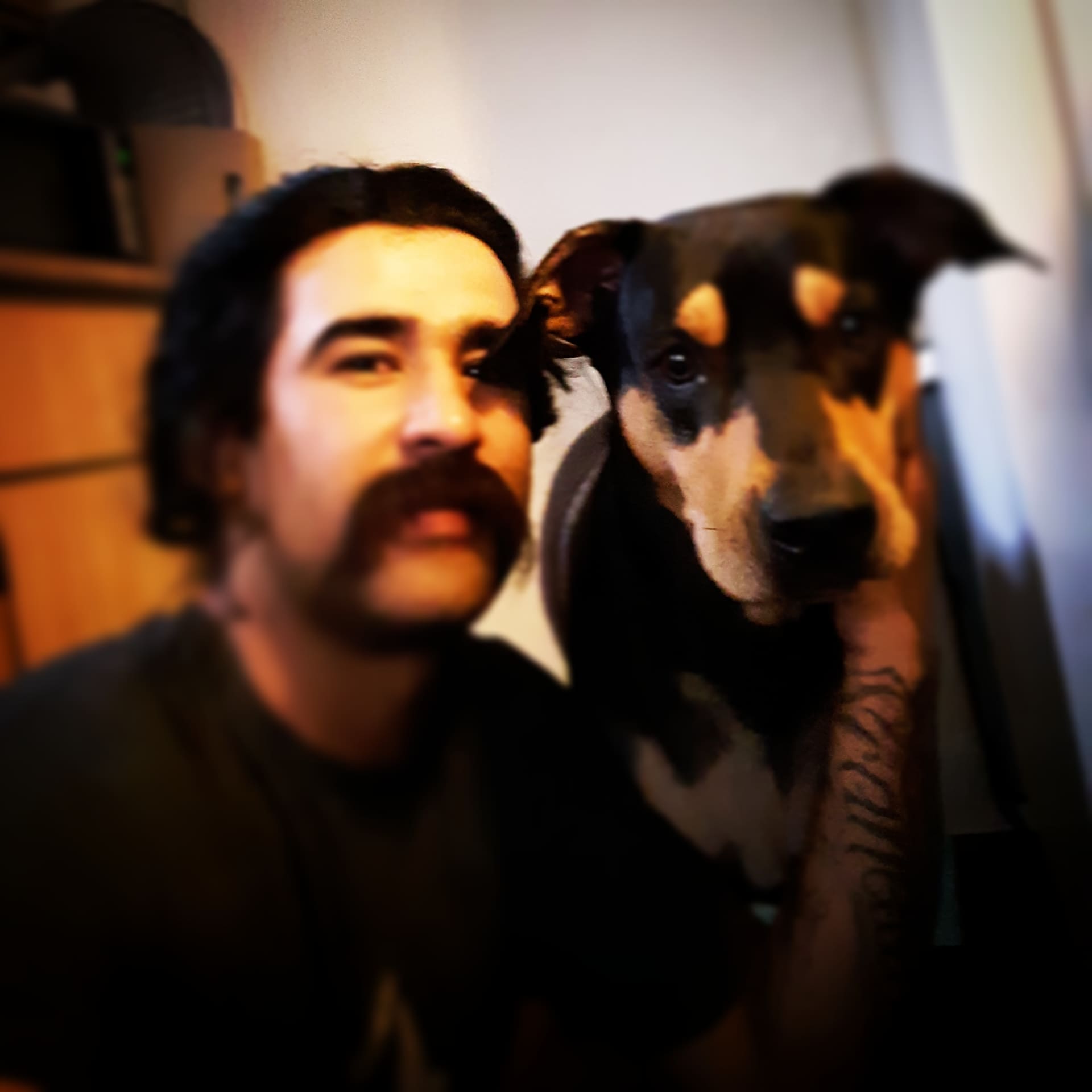 Whosthumb's profile image