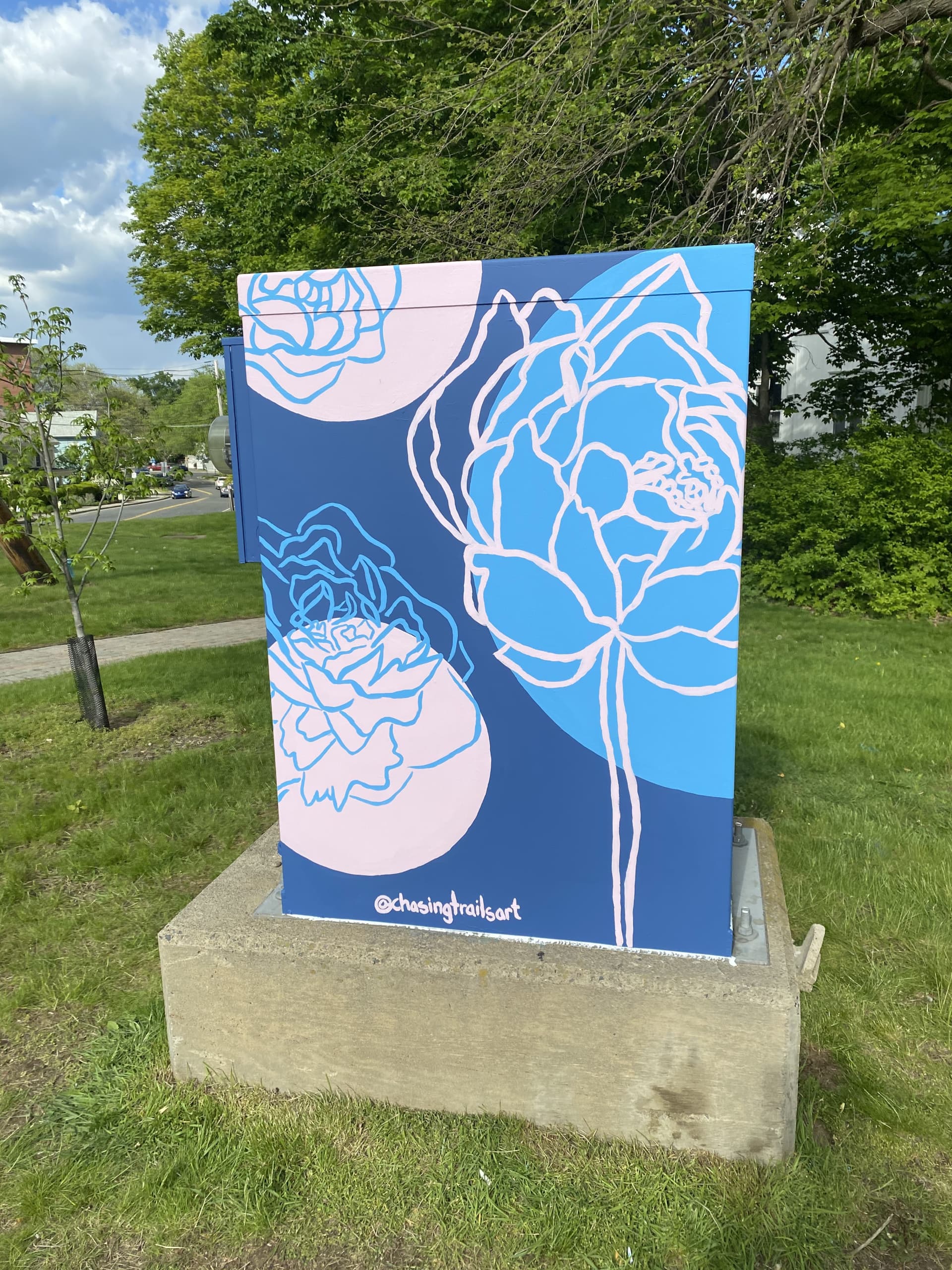 Peony Electricity Box