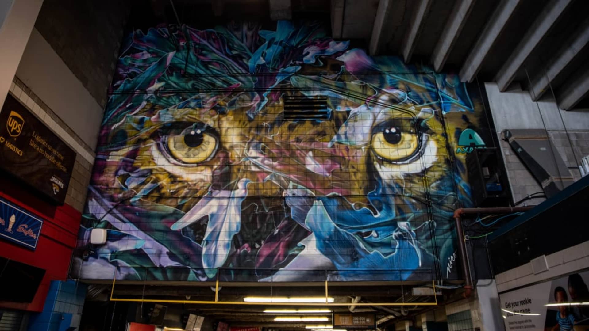 "Peeking Through The Palms" for Jacksonville Jaguars