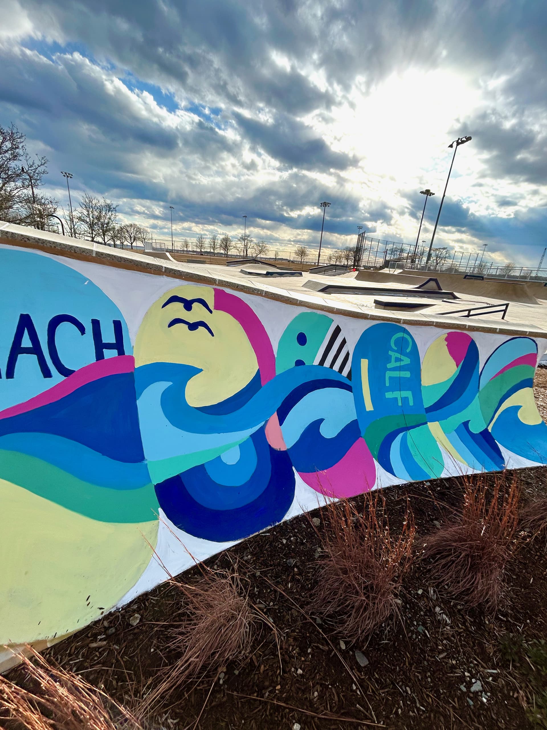 Beach Skatepark Mural 