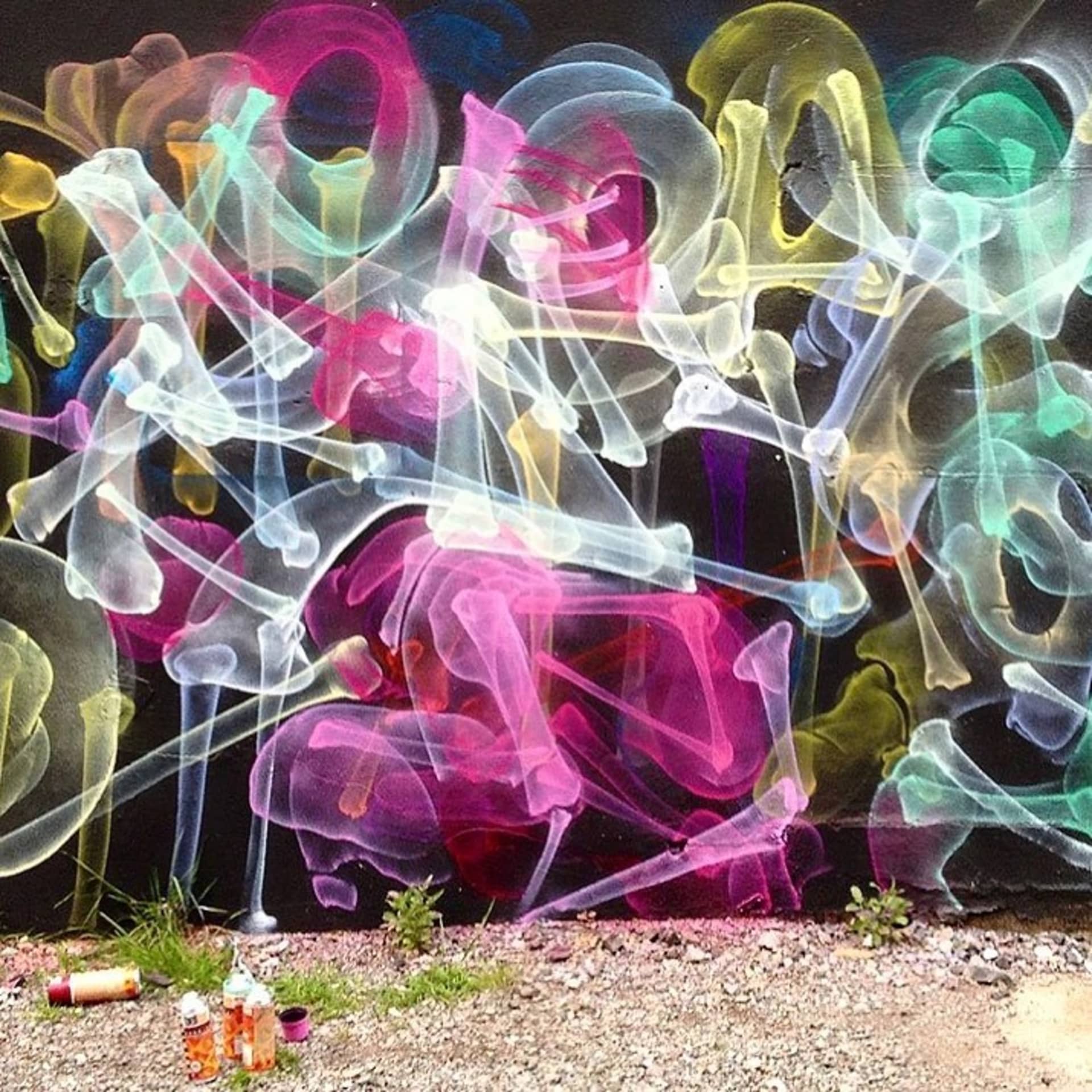 Anatomical Abstractions