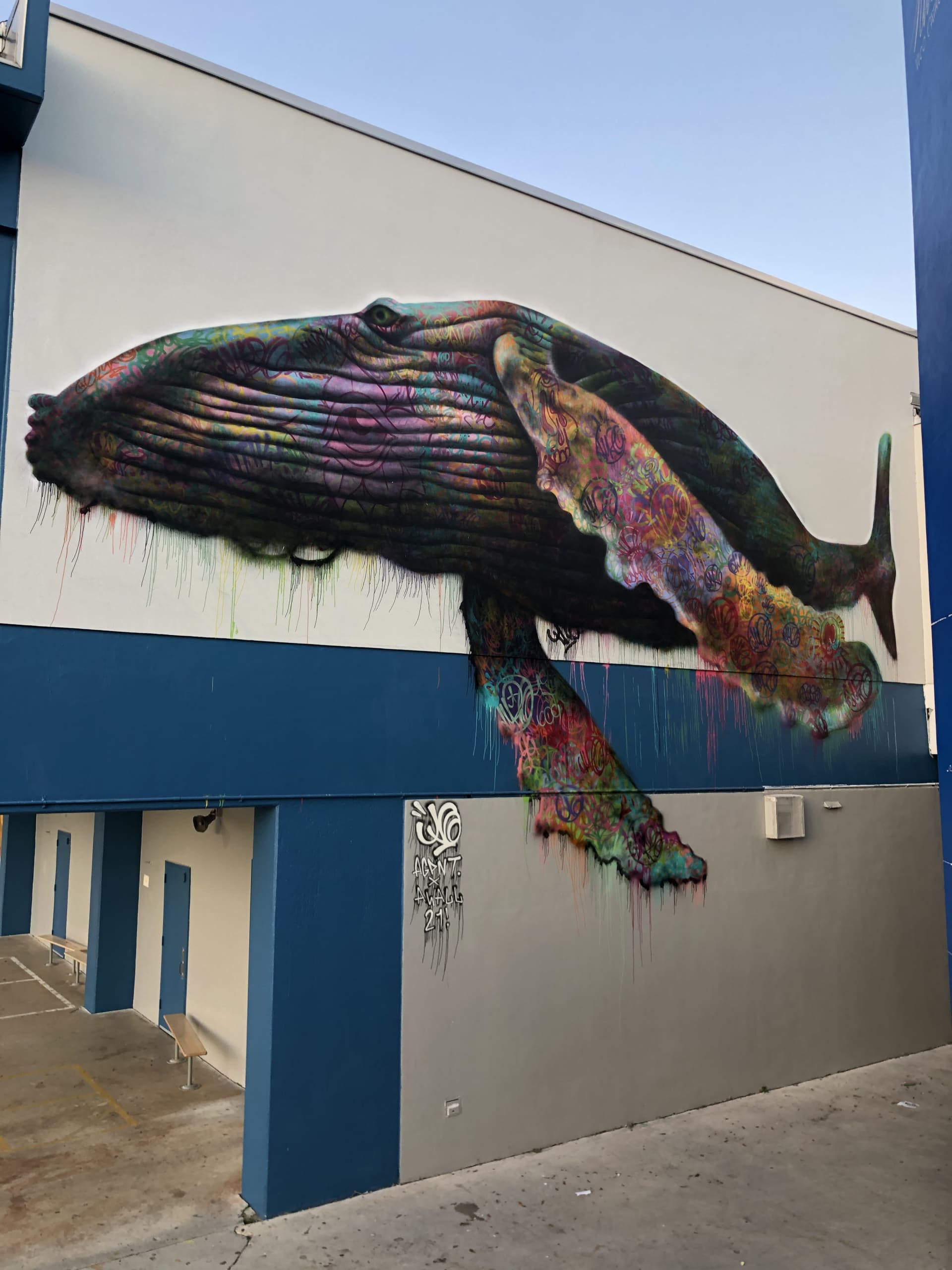 Whispers of the Ocean's Gentle Giant