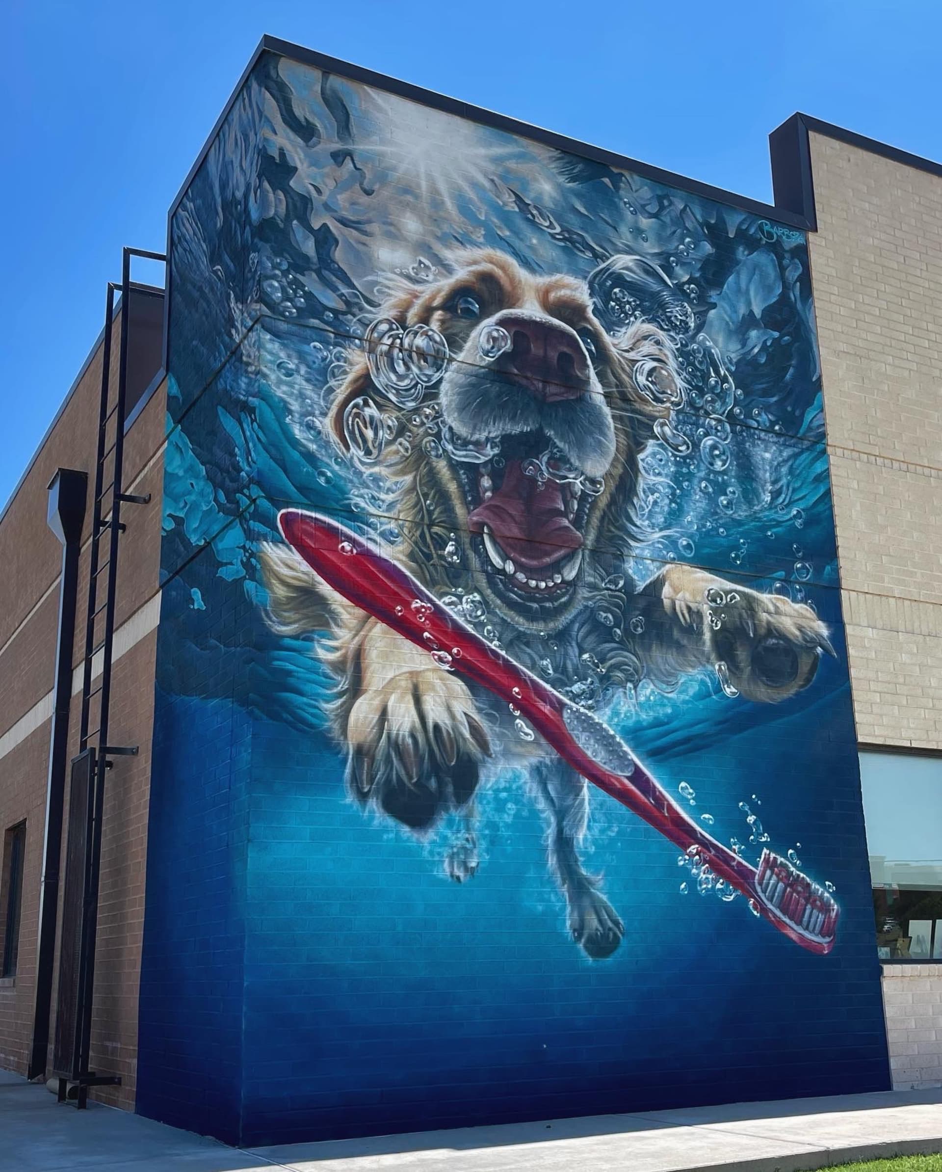 Joyful Splash of Canine Whimsy