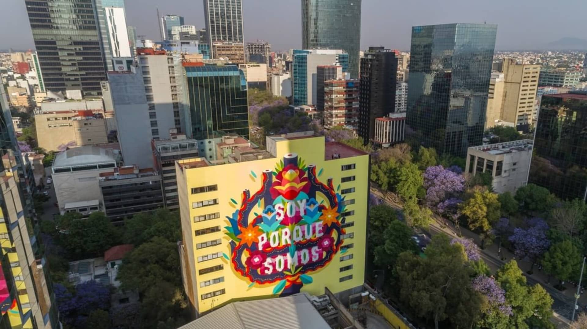 Vibrant Echoes of Identity and Unity
