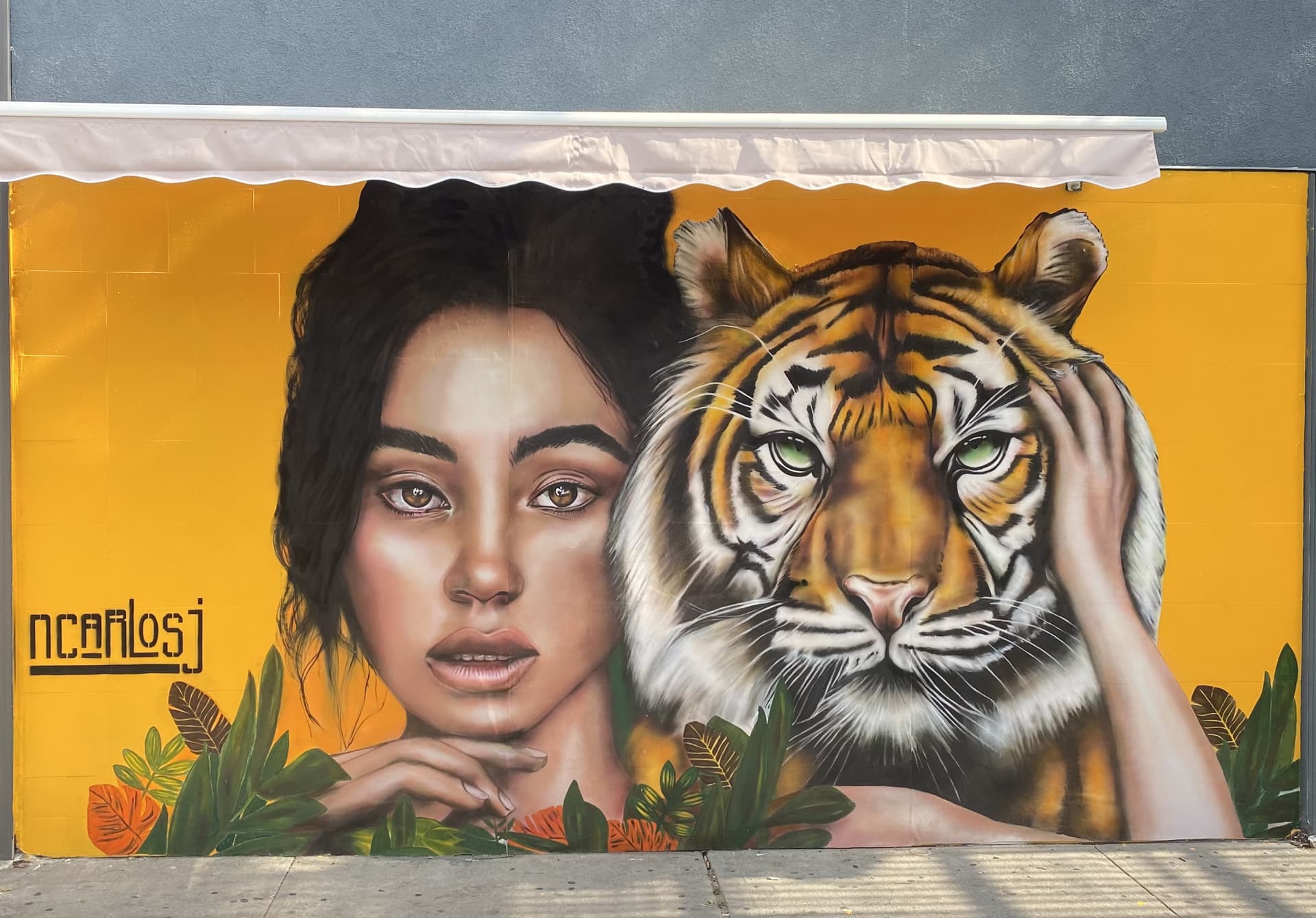 Year of the Tiger