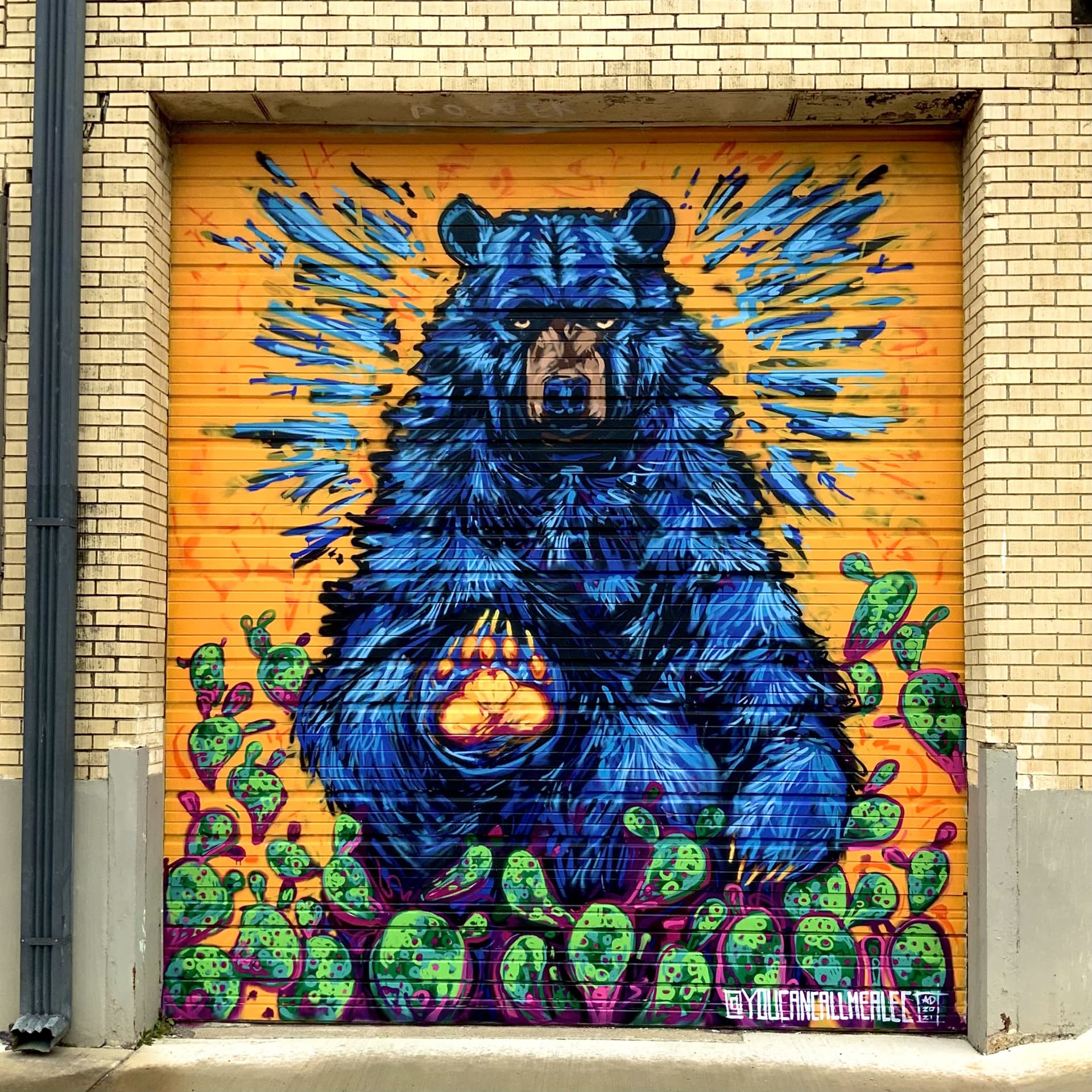 Ursa Manos