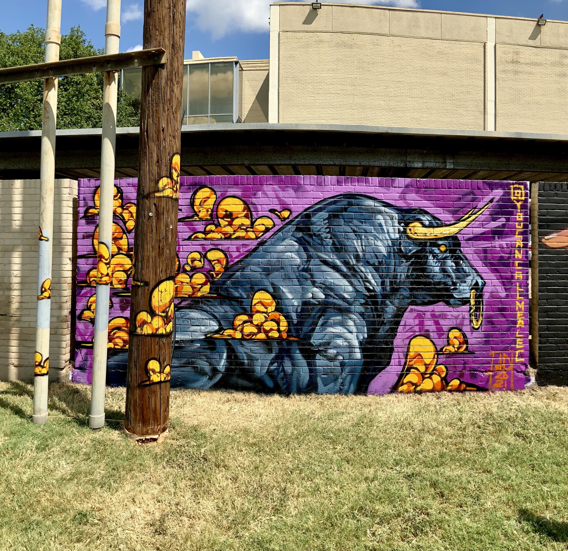 Take the Bull by the Horns