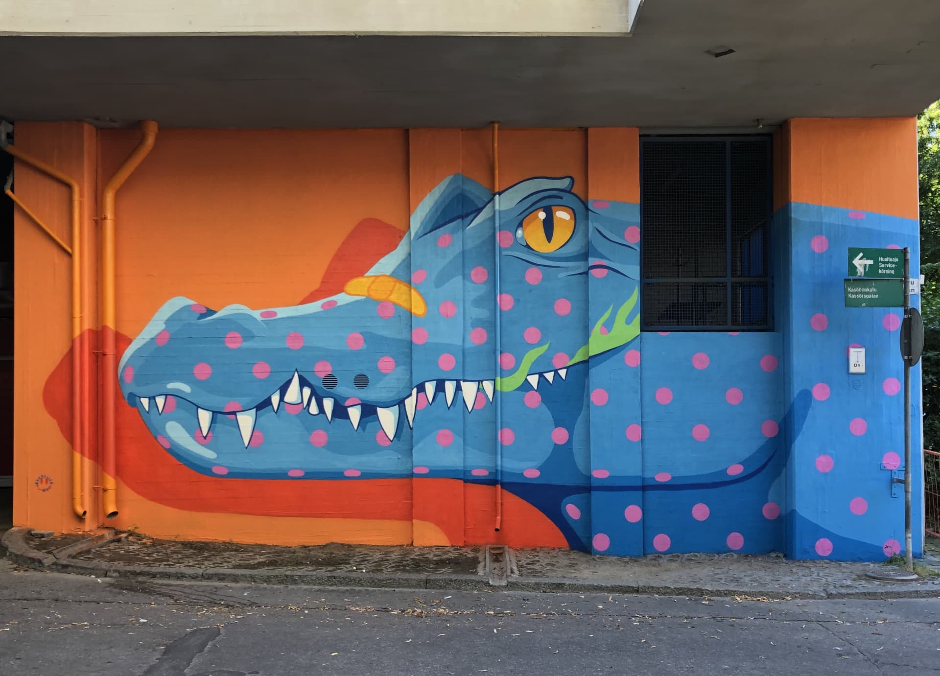 King croc 