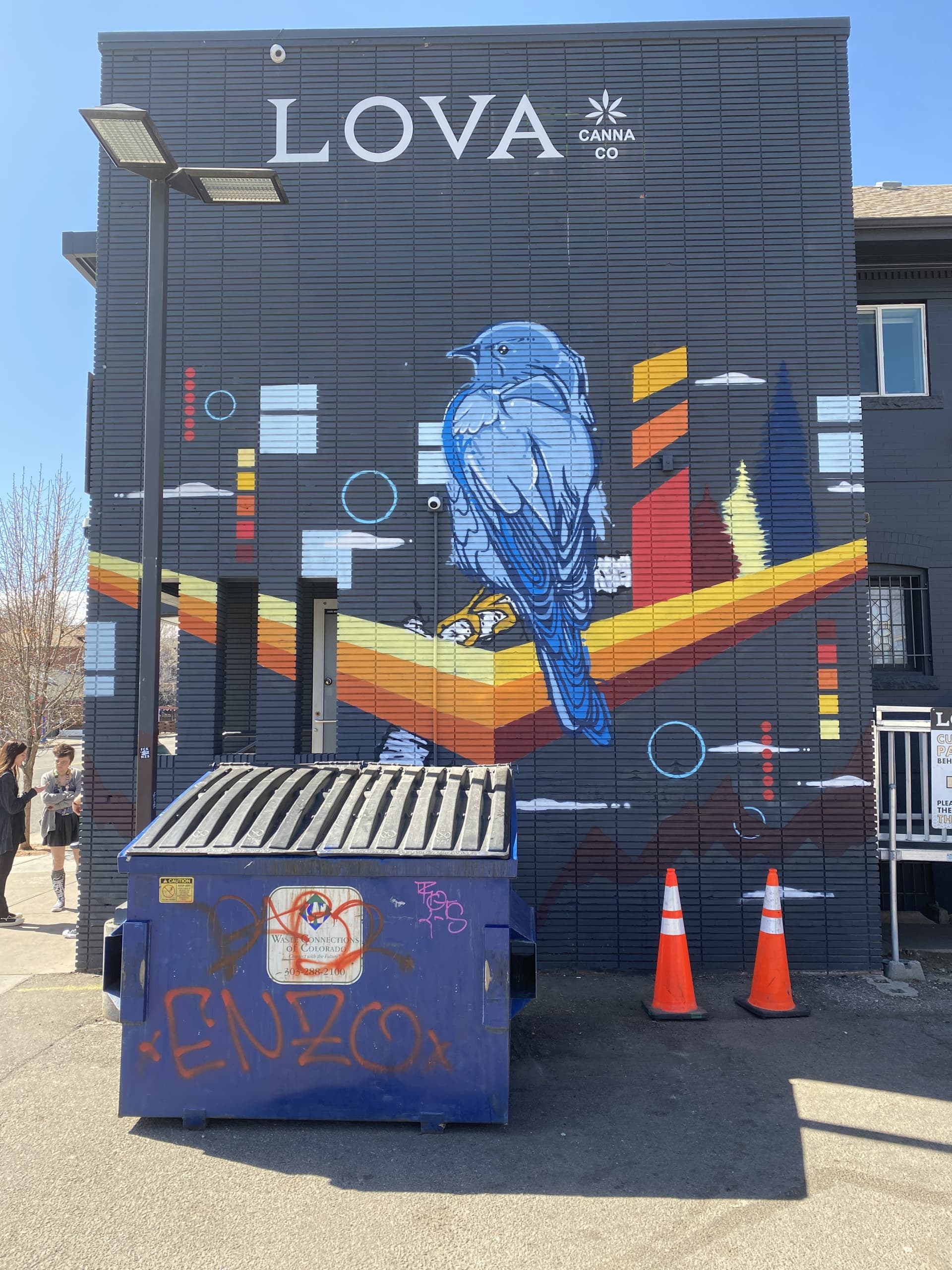 Urban Harmony: A Bluebird's Flight