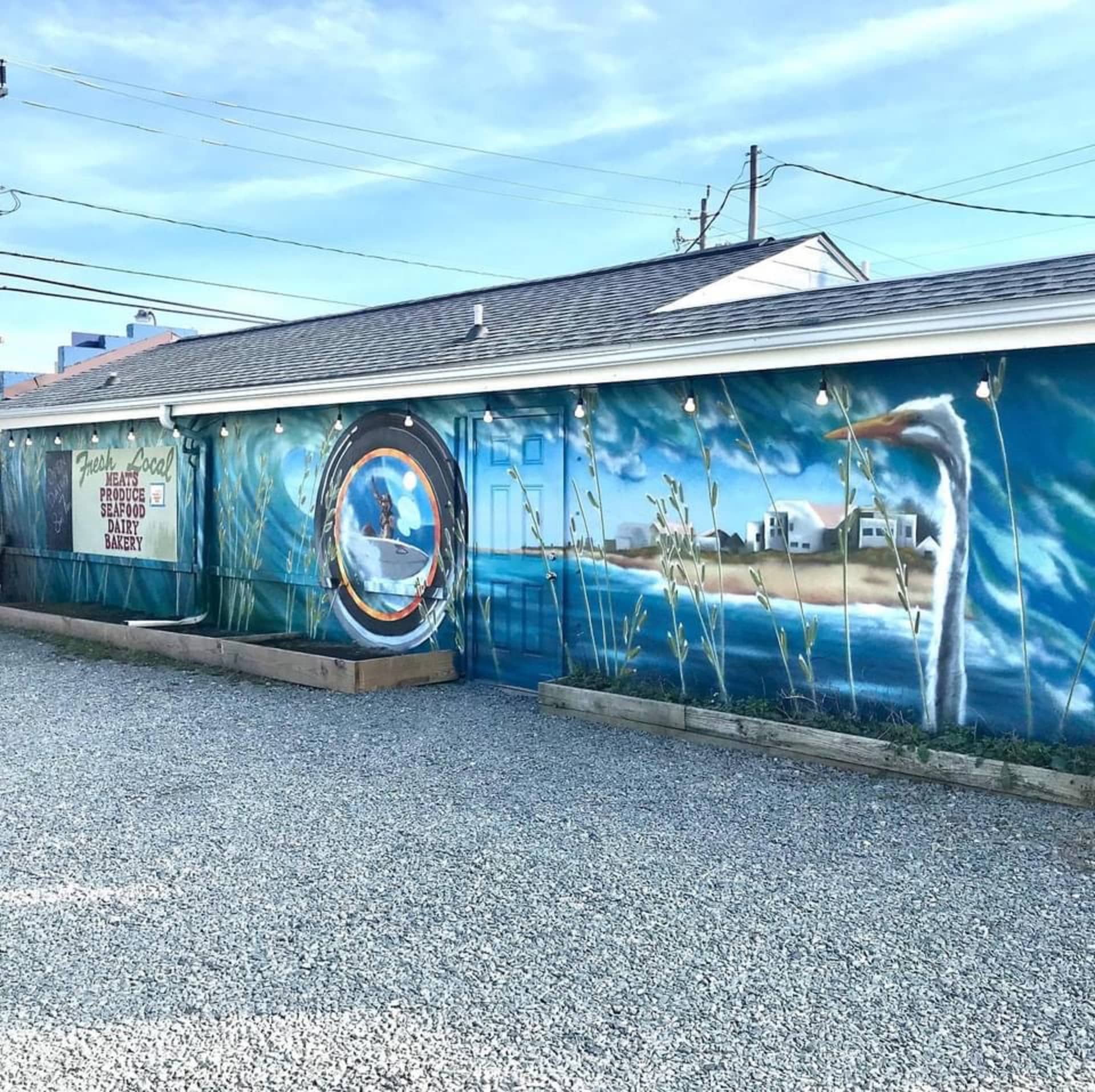 Surf & See