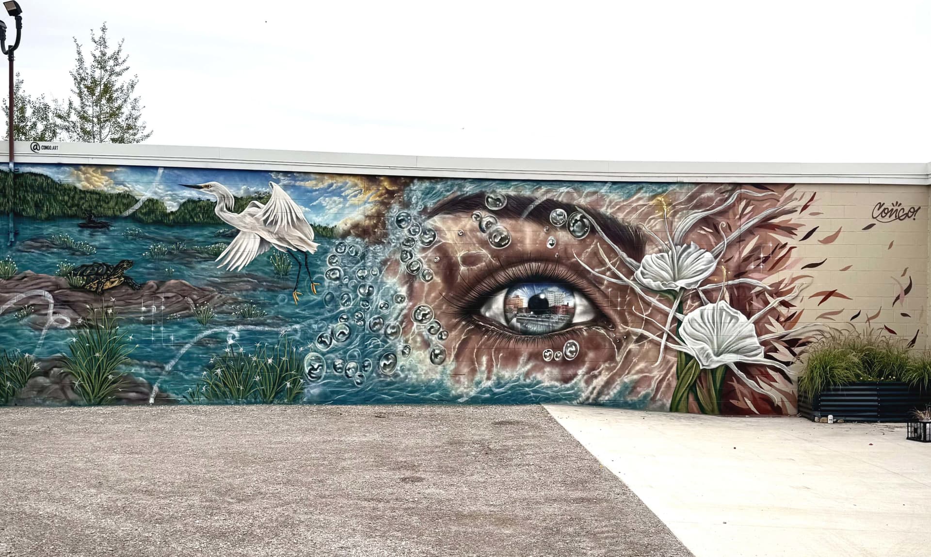 Eye on the river