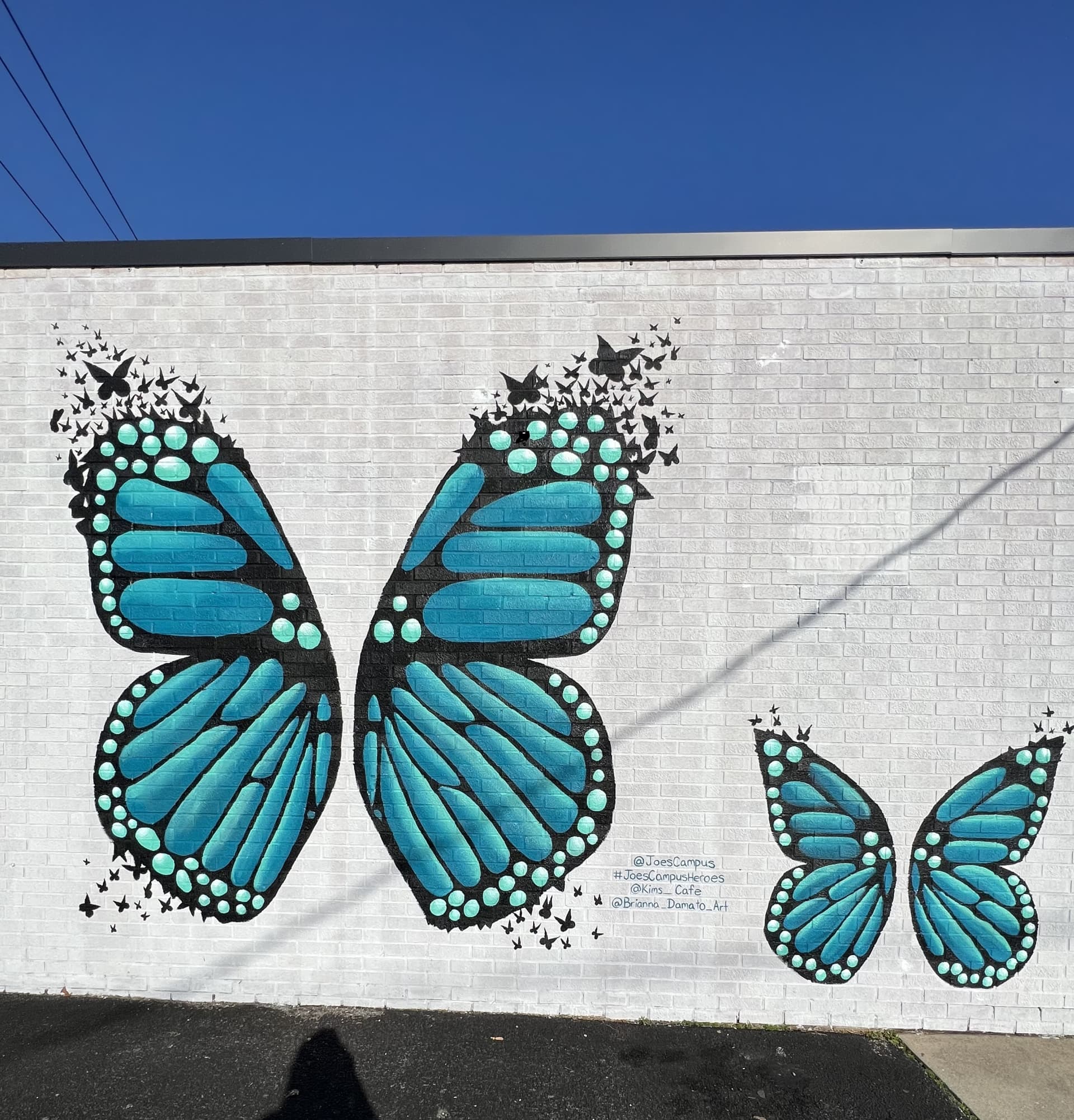 Wings of Transformation in Vibrant Blue
