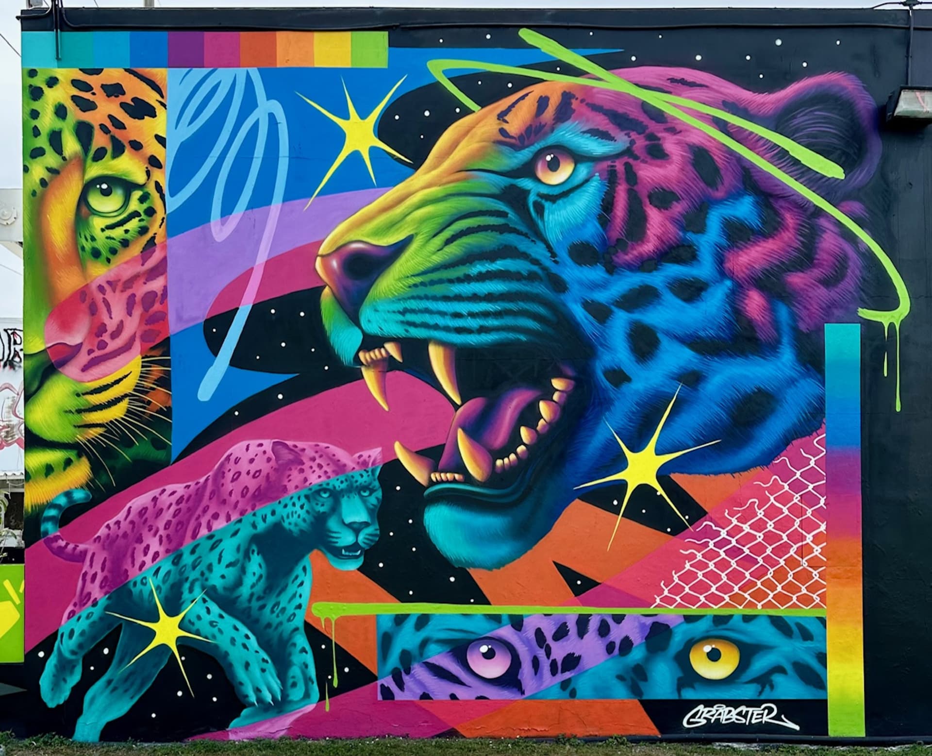 Vibrant Roar of the Wild Cosmos