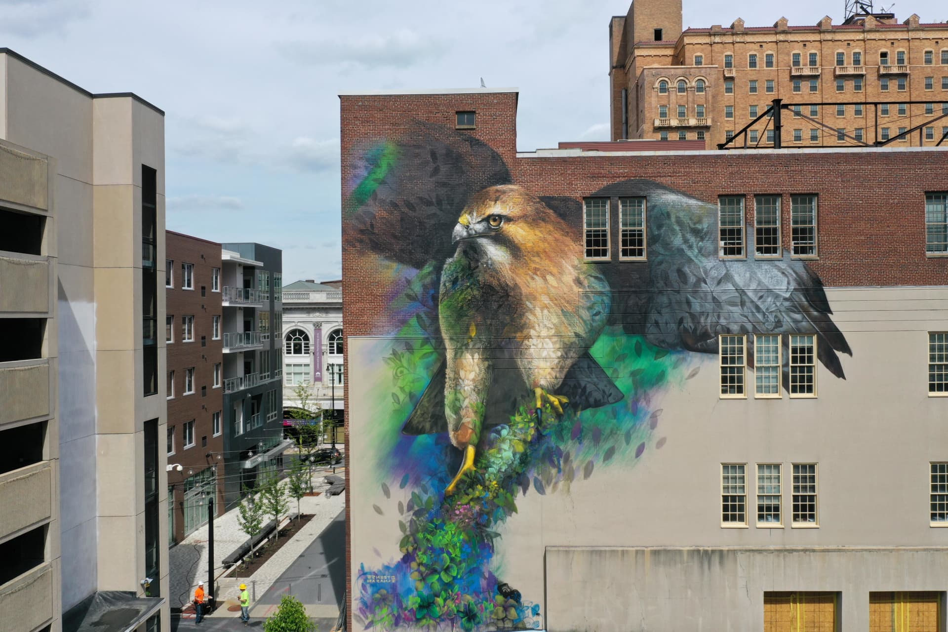Falcon