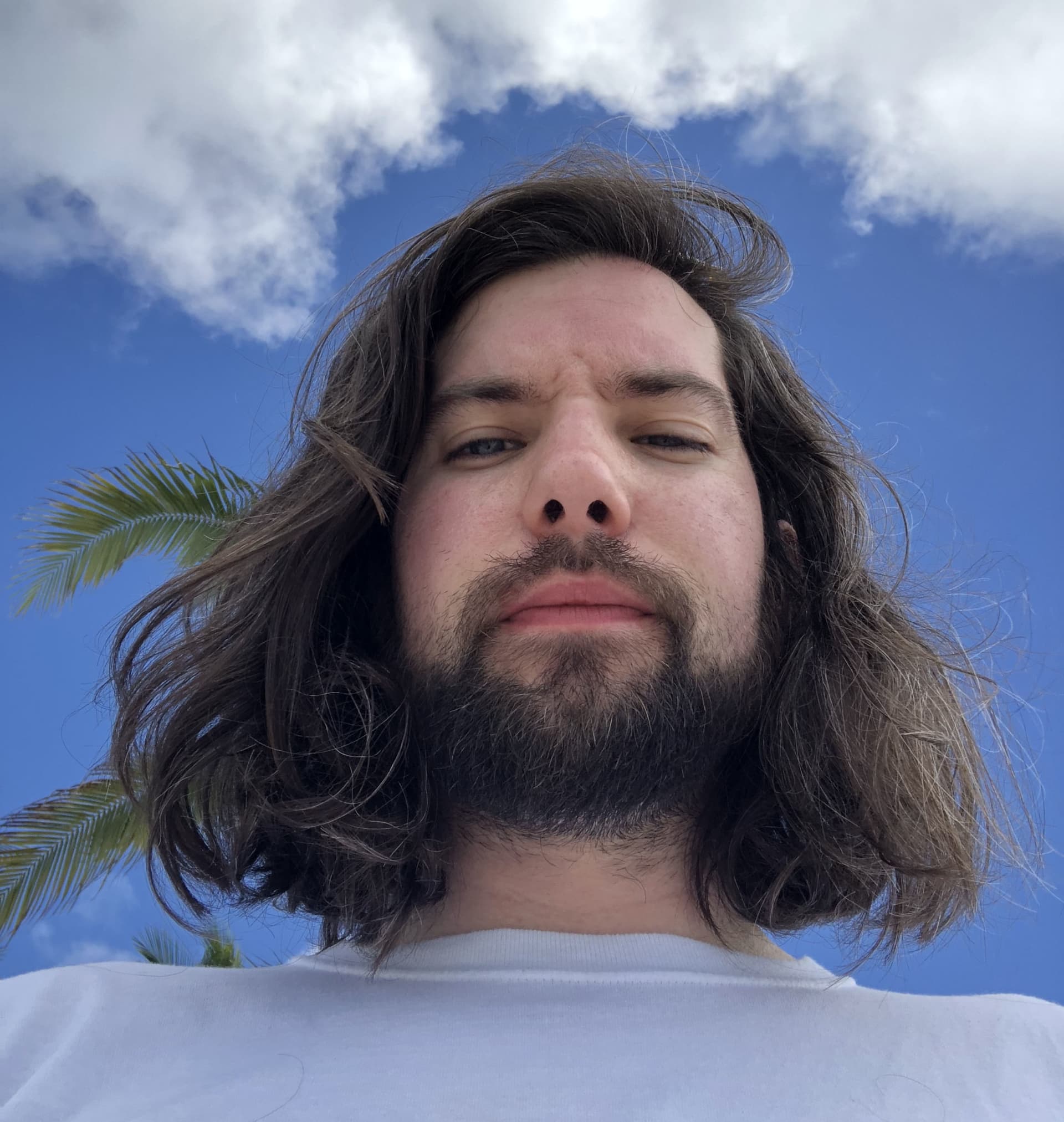 Michael Ferrarell's profile image