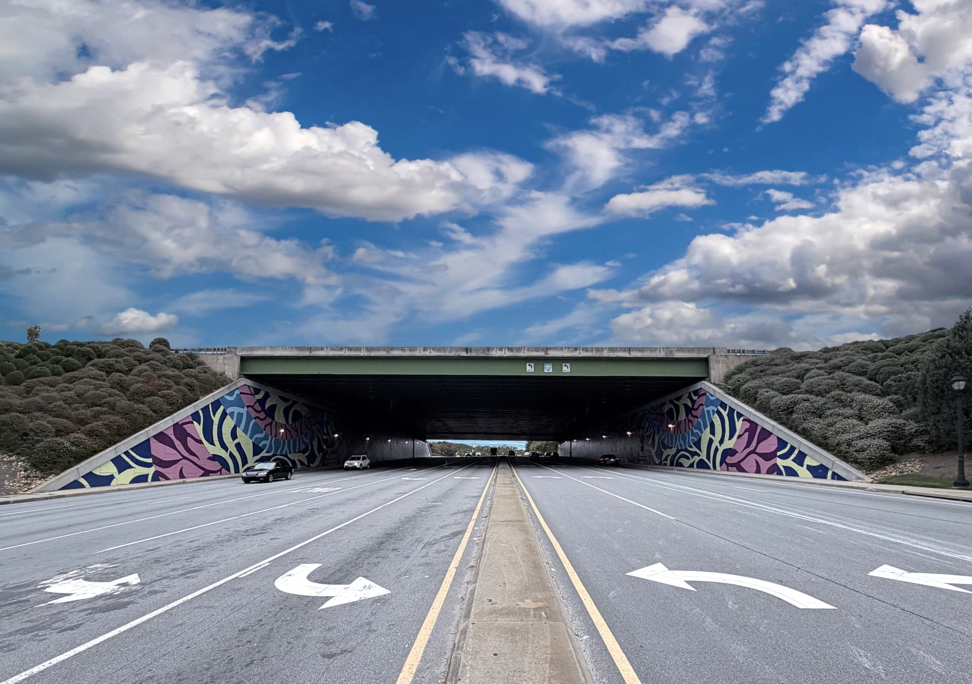 Urban Flora Awakens Beneath Concrete Canopy