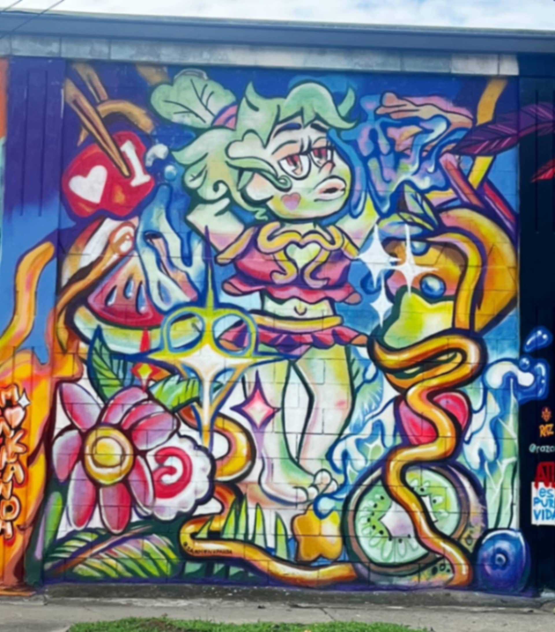 Birth of LaChoya