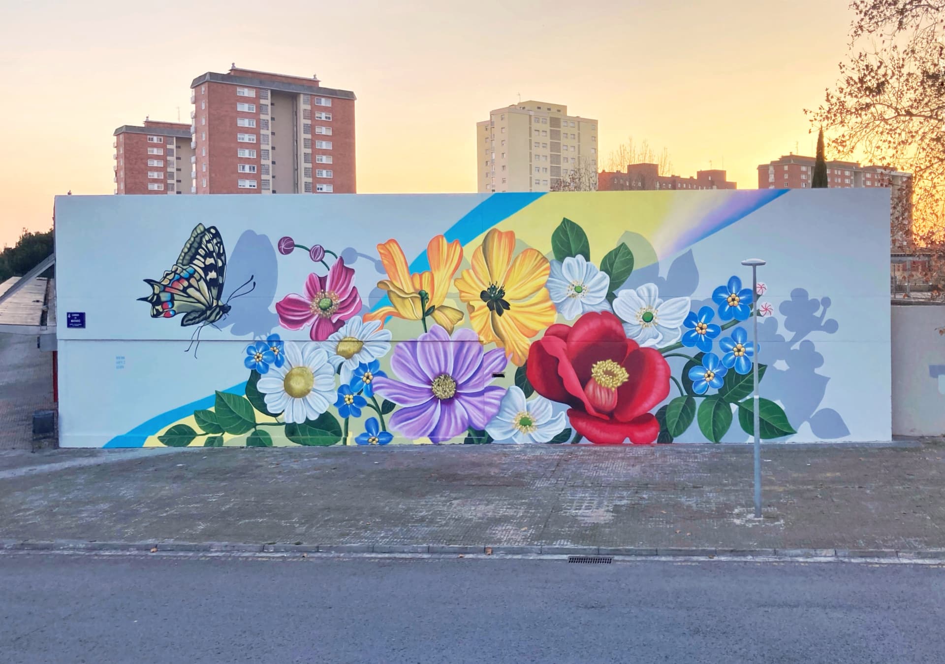 Whispers of Color in Urban Bloom