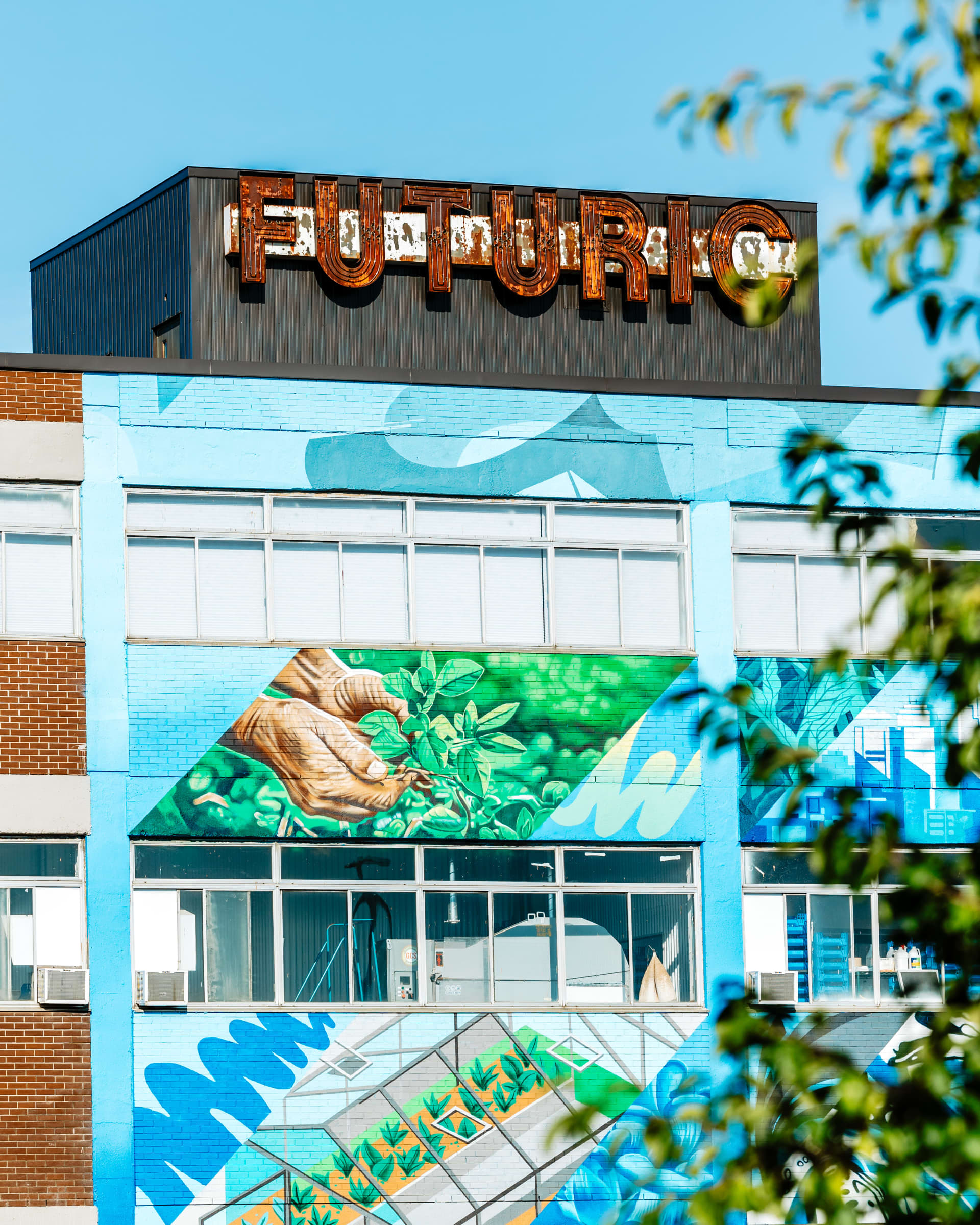 Nurturing Tomorrow's Green Dreams