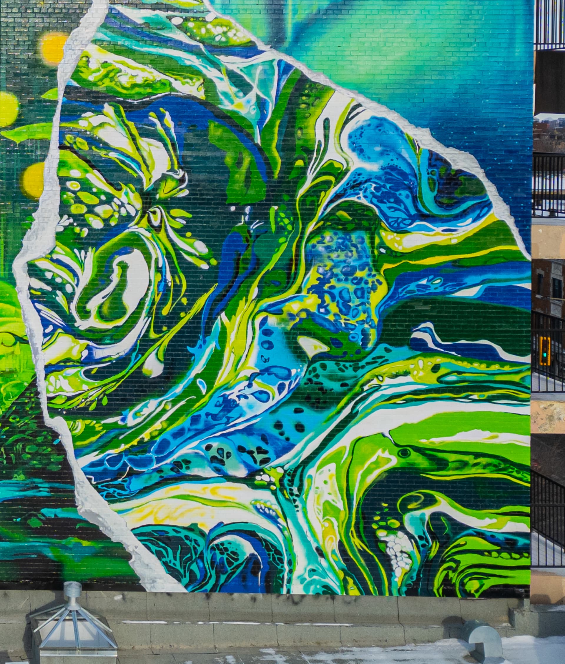 Fluid Harmony in Vibrant Tides
