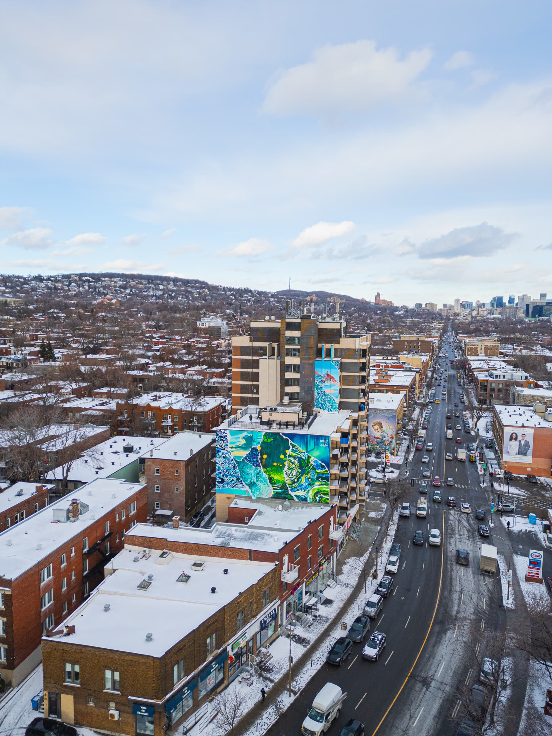 Whispers of Nature in Urban Canvas