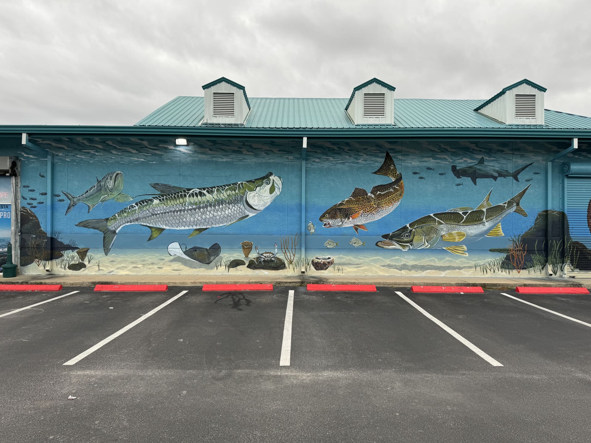 Tarpon Fishing Outfitters mural