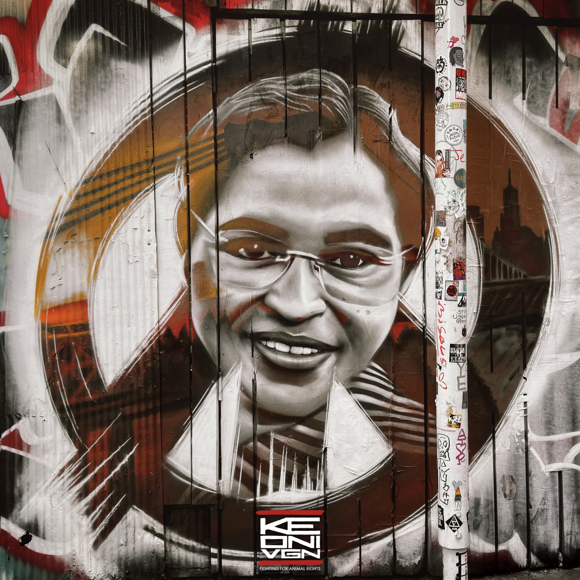 Rosa Parks Symbol of Resistance